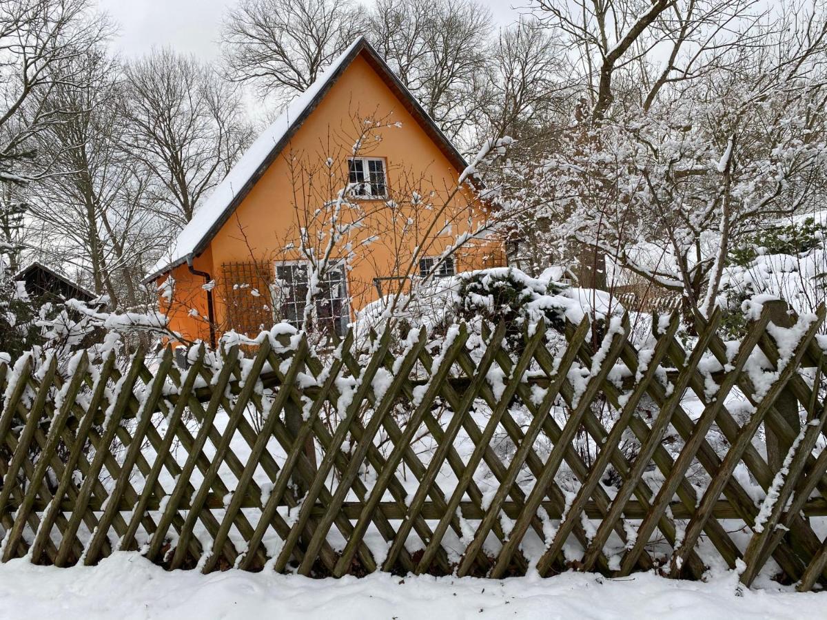 Ferienhaus Mittelmuhle Apartment Тойпиц Екстериор снимка